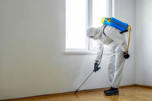 Best Pest Prevention Services  in Montevideo, MN