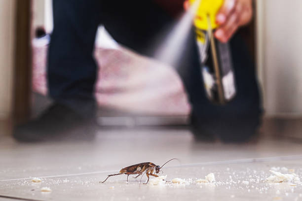 Best Best Pest Control Companies  in Montevideo, MN